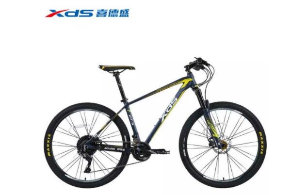 世界十大碳纤维自行车品牌，捷安特荣登第一名 第9张