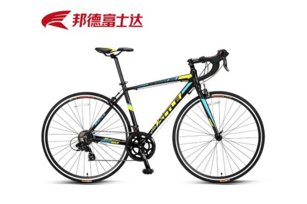 世界十大碳纤维自行车品牌，捷安特荣登第一名 第19张