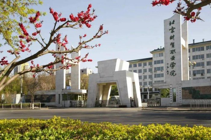 2022年北京最好的十大专科院校，北京十大专科学校排名 第3张
