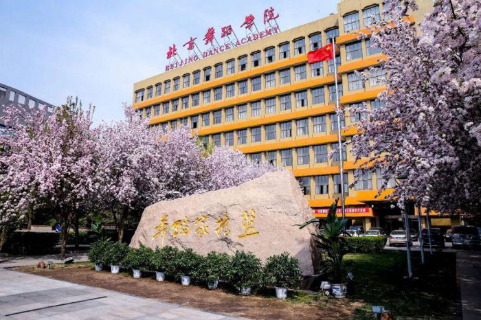 舞蹈专业的大学有哪些？2022舞蹈专业专科学校排名 第9张