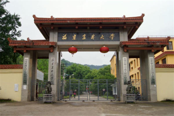 福建省最好的大学前十所，2022福建省大学十强排名 第7张