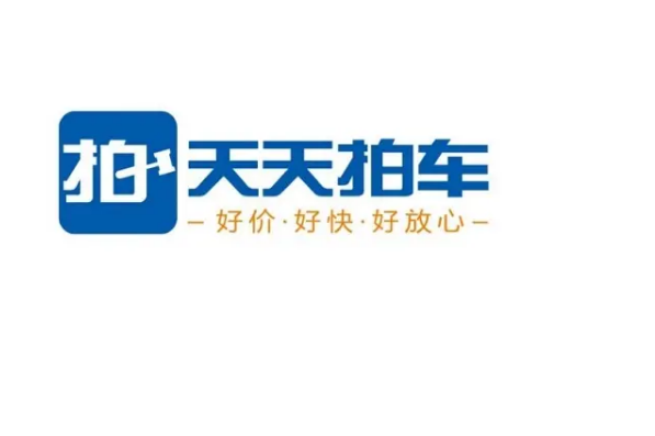 二手车品牌十大排名，二手车交易网站排行 第17张