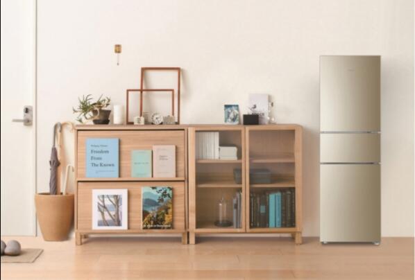 2022冰箱品牌排名前十产品：海尔占了6款产品 第13张