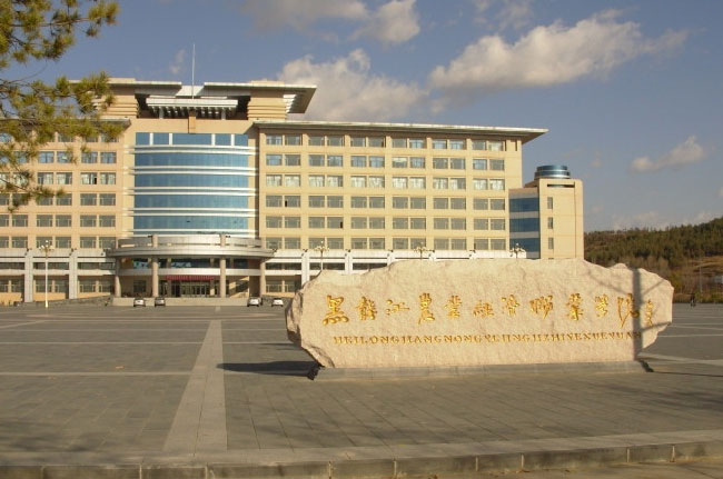 黑龙江省高职院校排名前十，黑龙江好的专科学校排名 第5张