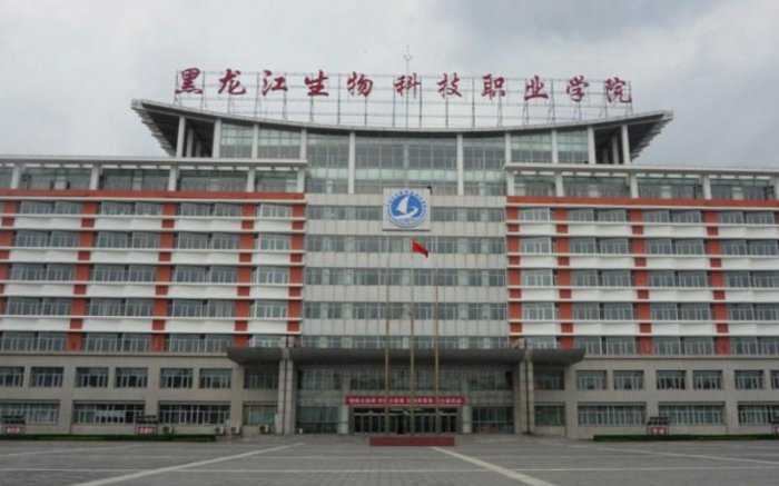 黑龙江省高职院校排名前十，黑龙江好的专科学校排名 第7张
