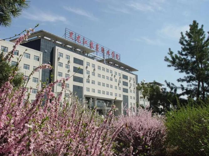 黑龙江省高职院校排名前十，黑龙江好的专科学校排名 第15张