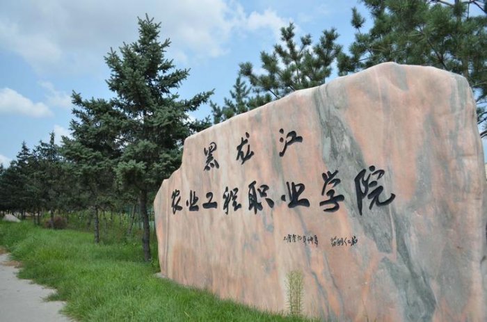 黑龙江省高职院校排名前十，黑龙江好的专科学校排名 第19张