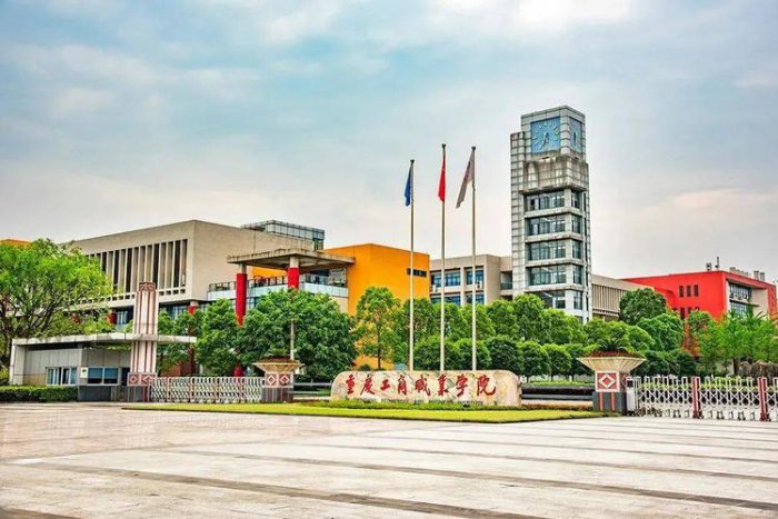 重庆哪个专科学校最好？重庆专科学校排名前十 第9张