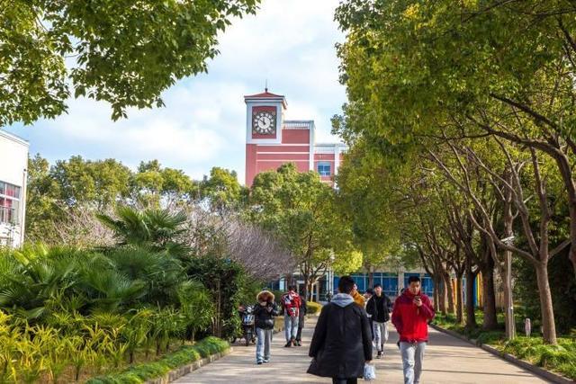 上海专科学校排名前十，上海专科学校排名一览表 第13张