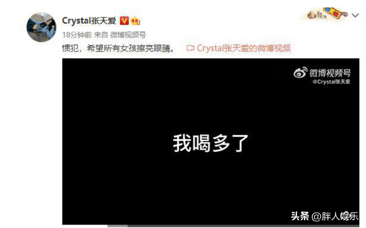 张天爱个人资料（揭秘“恋爱脑”张天爱的上位史） 第57张