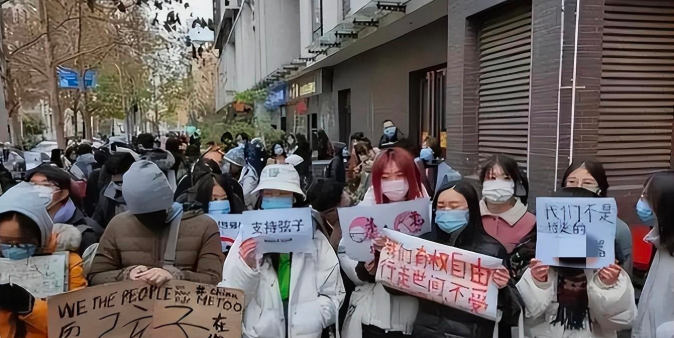 朱军与弦子事件始末（赢了官司，却输了所有） 第33张