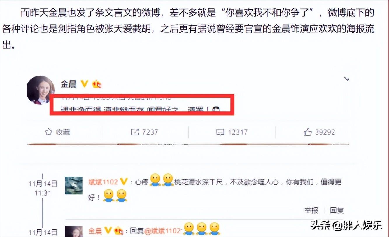 张天爱个人资料（揭秘“恋爱脑”张天爱的上位史） 第37张