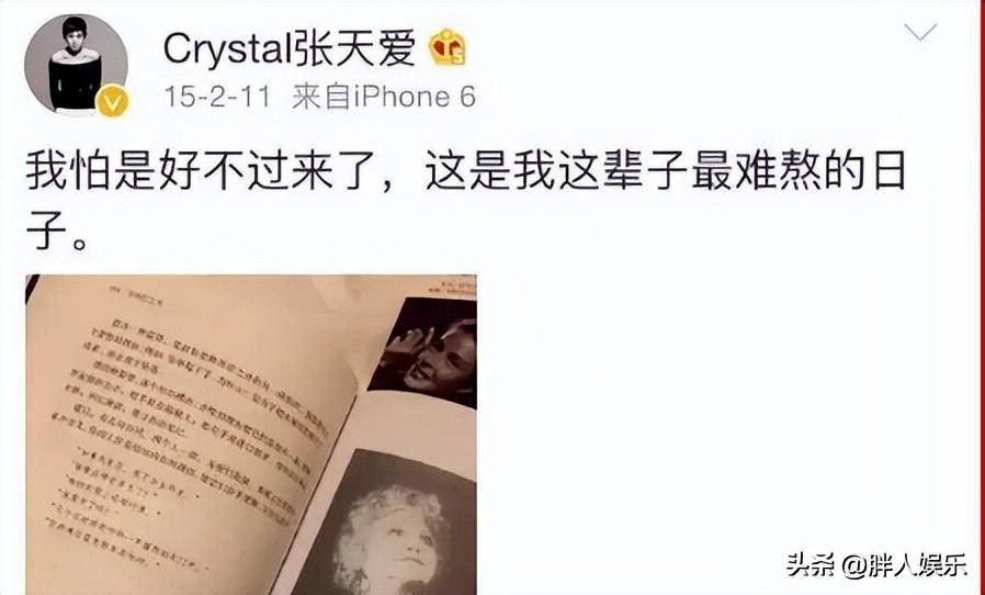 张天爱个人资料（揭秘“恋爱脑”张天爱的上位史） 第27张