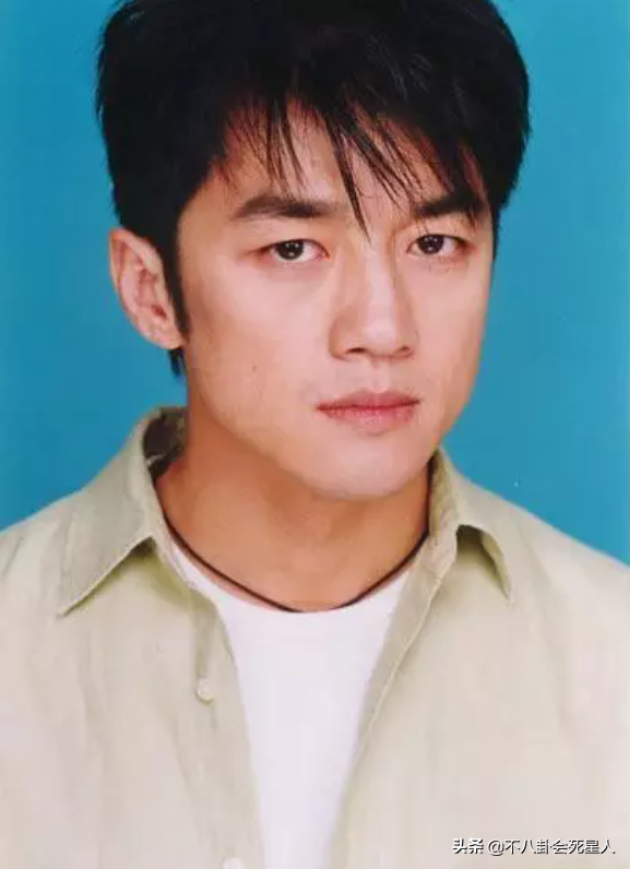 帅气男明星都来自哪里？川渝秀气，西北硬汉，山东浓眉大眼 第67张