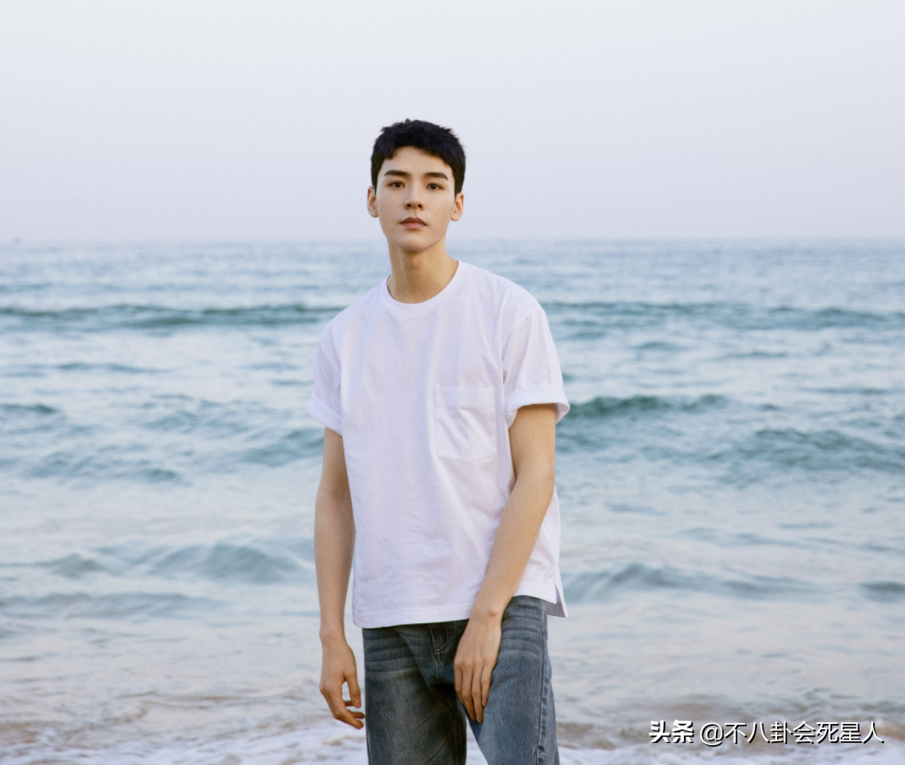 帅气男明星都来自哪里？川渝秀气，西北硬汉，山东浓眉大眼 第29张