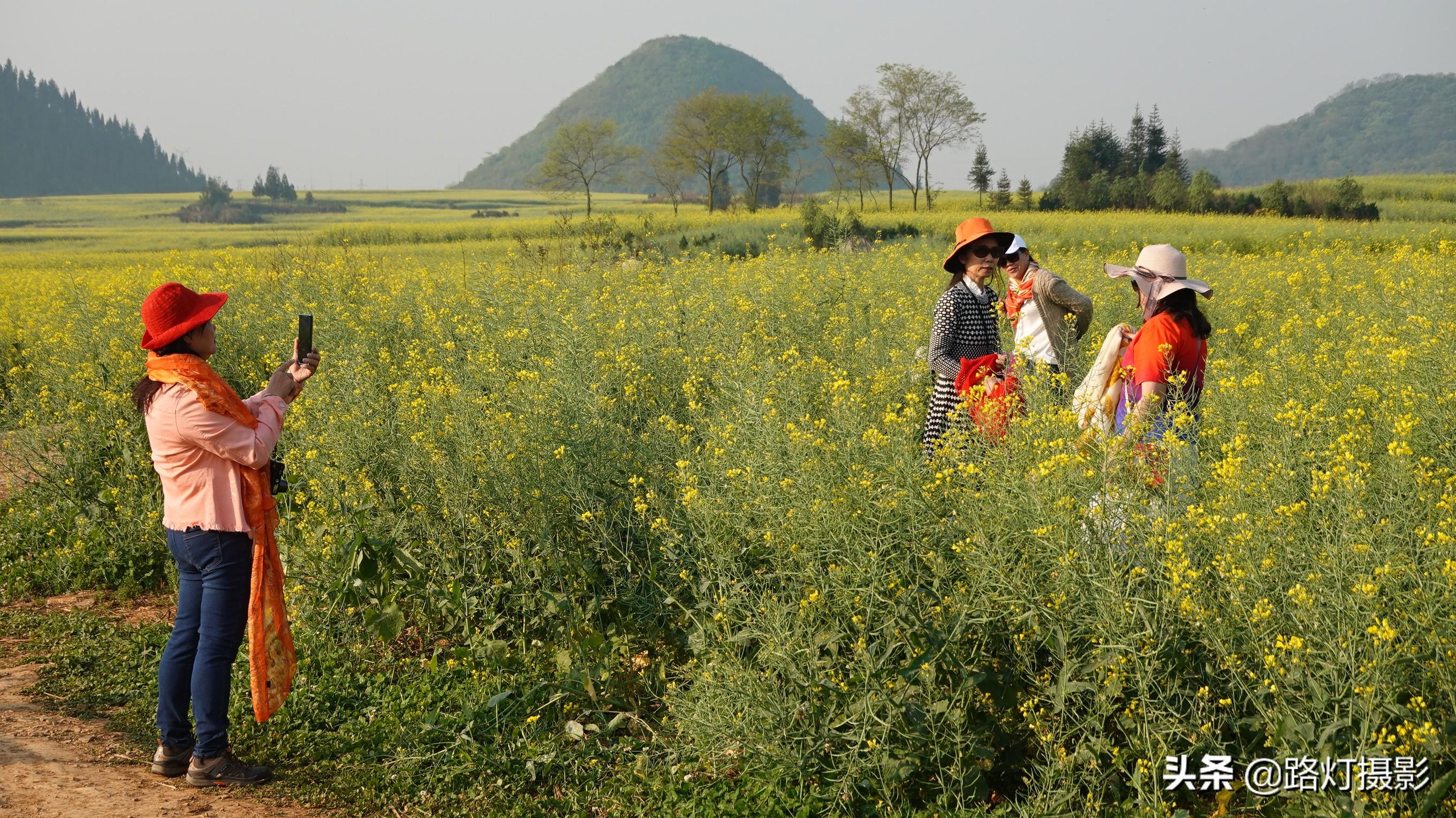 过年旅游去哪里（盘点春节期间最值得去的8个地方） 第35张