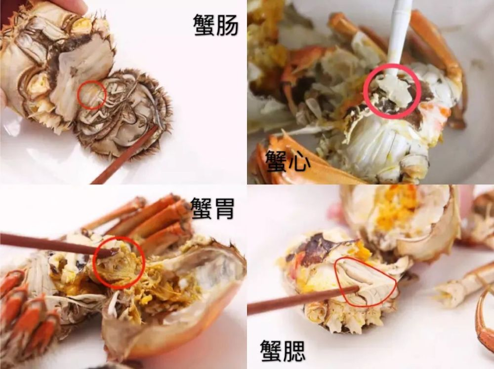 螃蟹和什么不能一起吃？营养师：这些禁忌要牢记 第3张