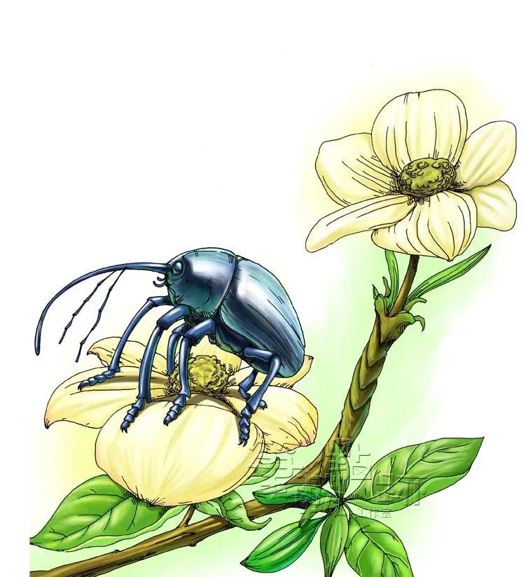 昆虫记好句摘抄赏析（昆虫记好句好段摘抄及感悟） 第5张