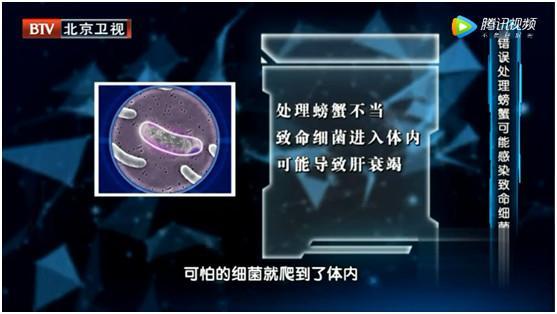 螃蟹和什么不能一起吃？到底哪个是真的 第17张
