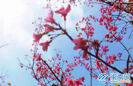元宵节的诗词有哪些（最有名的元宵节古诗） 第1张