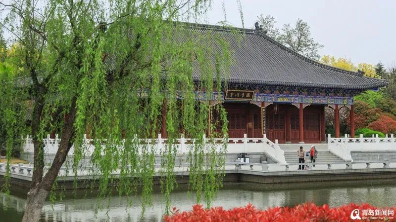 不只11家！《青岛50+免费游玩景点大全》，收好够玩一整年！ 第25张