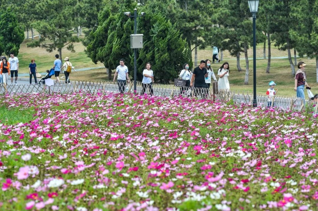 不只11家！《青岛50+免费游玩景点大全》，收好够玩一整年！ 第15张