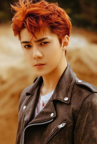 EXO12位成员现状：黄子韬回家继承父业，鹿晗因恋爱打烂一手好牌 第27张