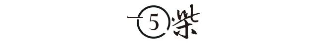 褚时健的传奇人生简介（揭秘褚时健是如何从低谷走向巅峰） 第35张