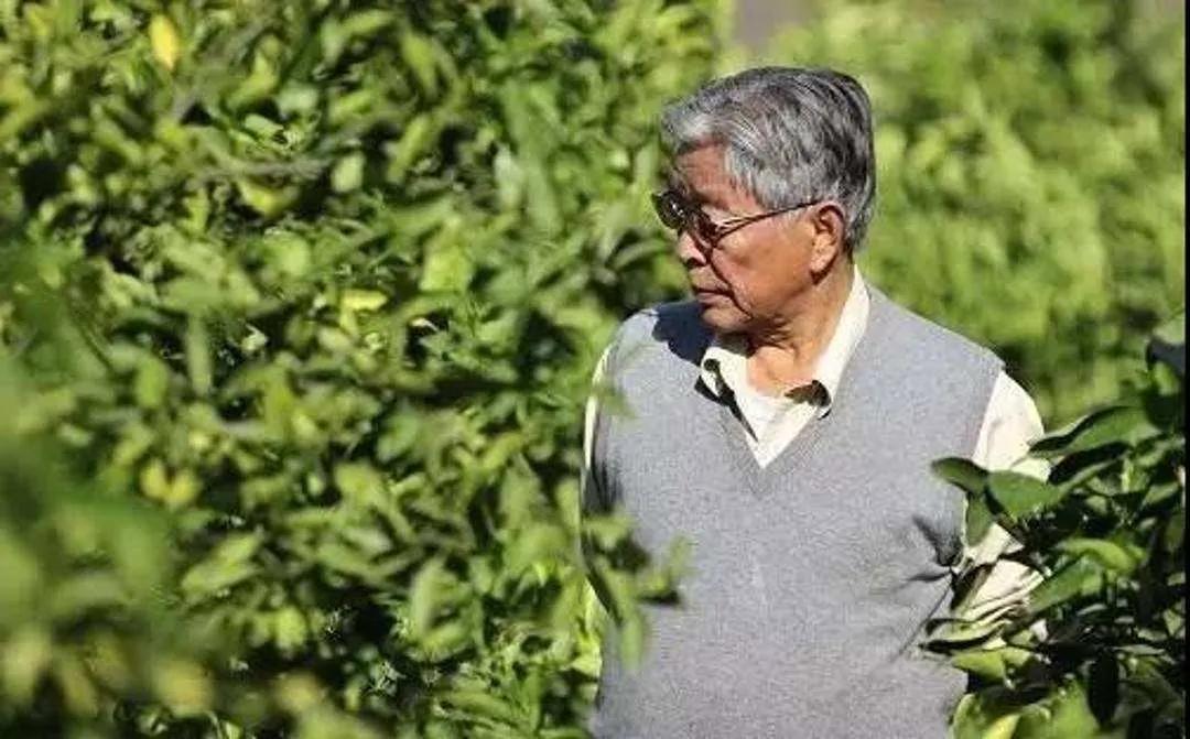 褚时健的传奇人生简介（揭秘褚时健是如何从低谷走向巅峰） 第31张