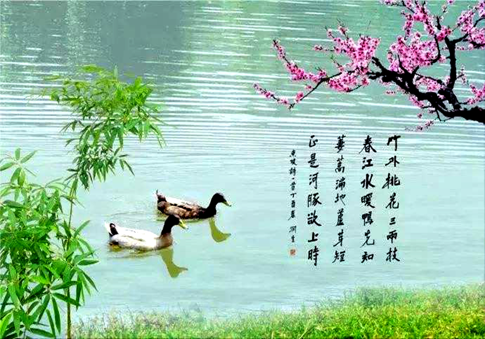 惠崇春江晚景古诗意思解释（诗文内容及译文解读） 第3张