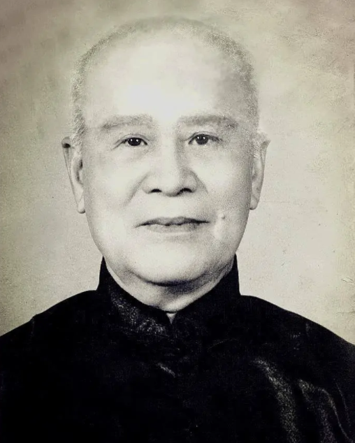 叶问真实历史简介（真实的叶问身材矮小） 第19张