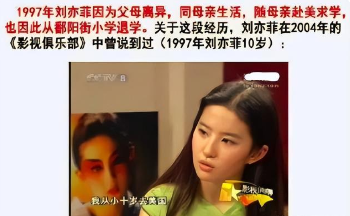 刘亦菲改国籍遭拒绝（国籍问题陷入“罗生门”） 第7张