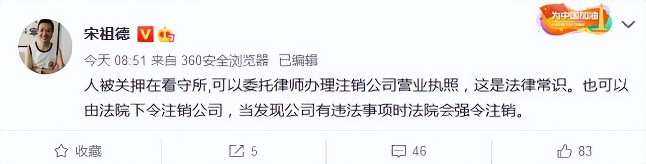 林生斌事件最新近情况官方消息（名下公司注销，宋祖德曝内幕） 第9张