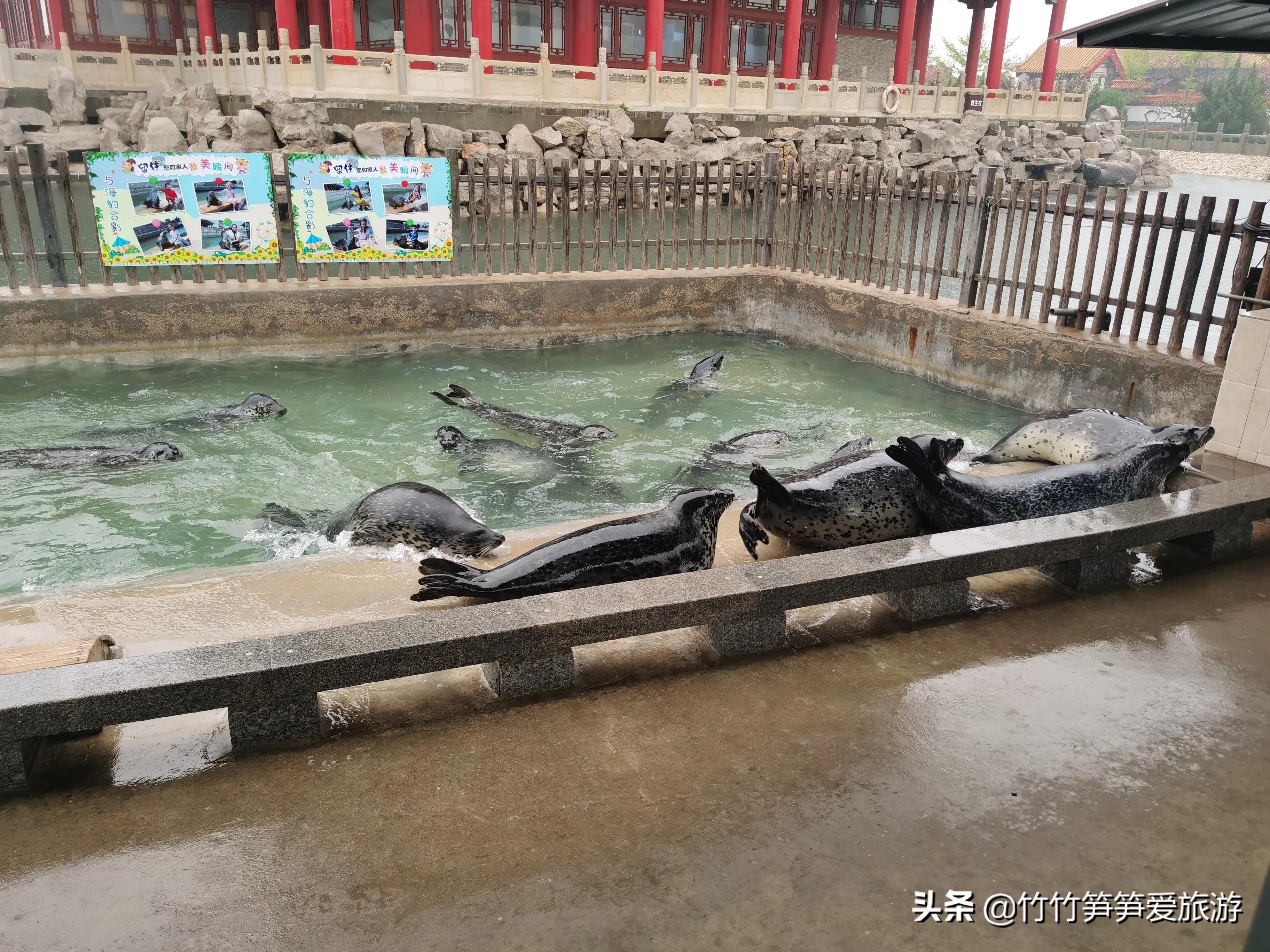 蓬莱好玩吗（浅谈蓬莱几处超好玩的景观） 第19张