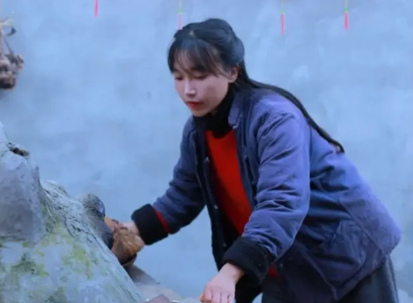 李子柒事件是怎么回事？火到国外的李子柒怎么“消失”了 第39张