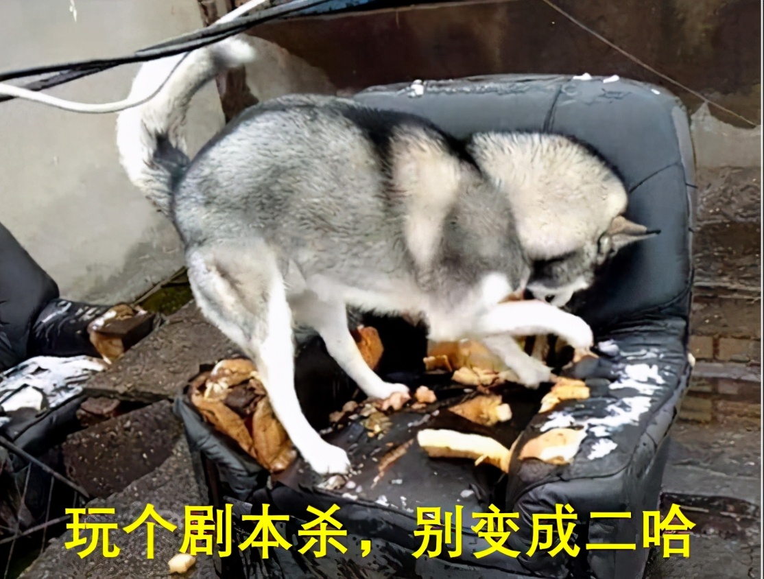 剧本杀到底怎么玩？？变身女装大佬后我悟了... 第29张