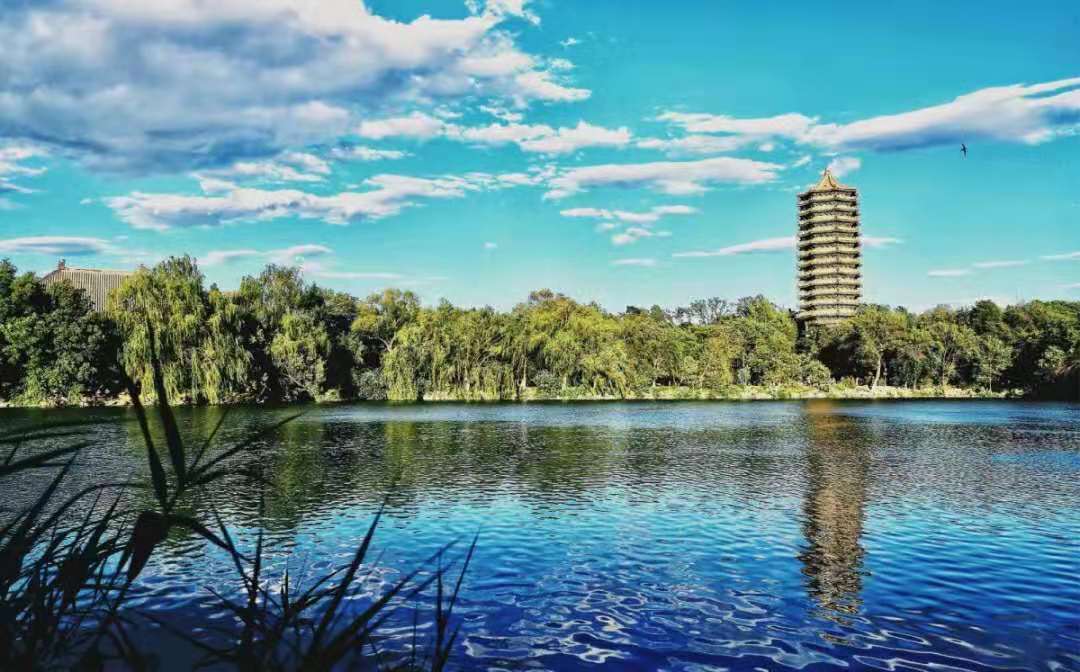 我国985高校排名，数据来源于教育部，值得参考 第3张