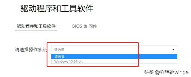 显卡驱动怎么更新？一文教你轻松学会 第17张