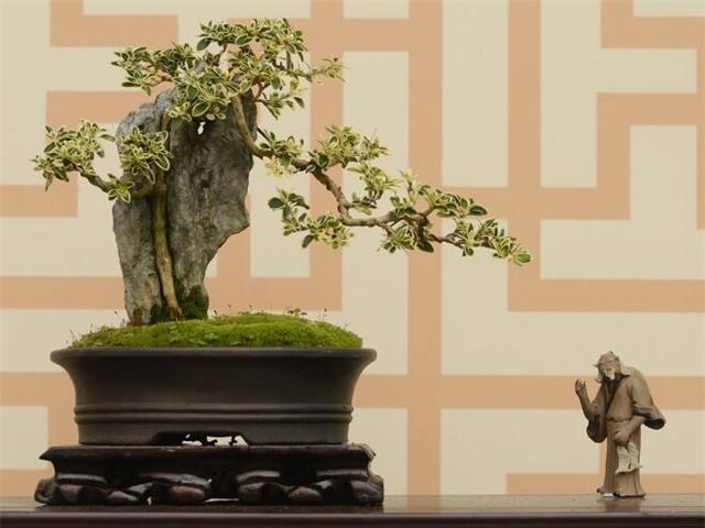 乔迁新居送什么礼物？送这几样特显心意 第1张