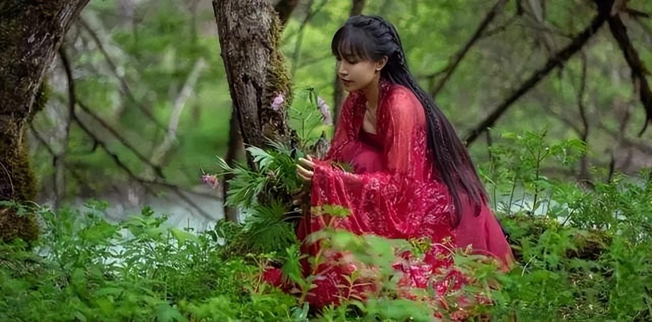 李子柒事件是怎么回事？火到国外的李子柒怎么“消失”了 第17张