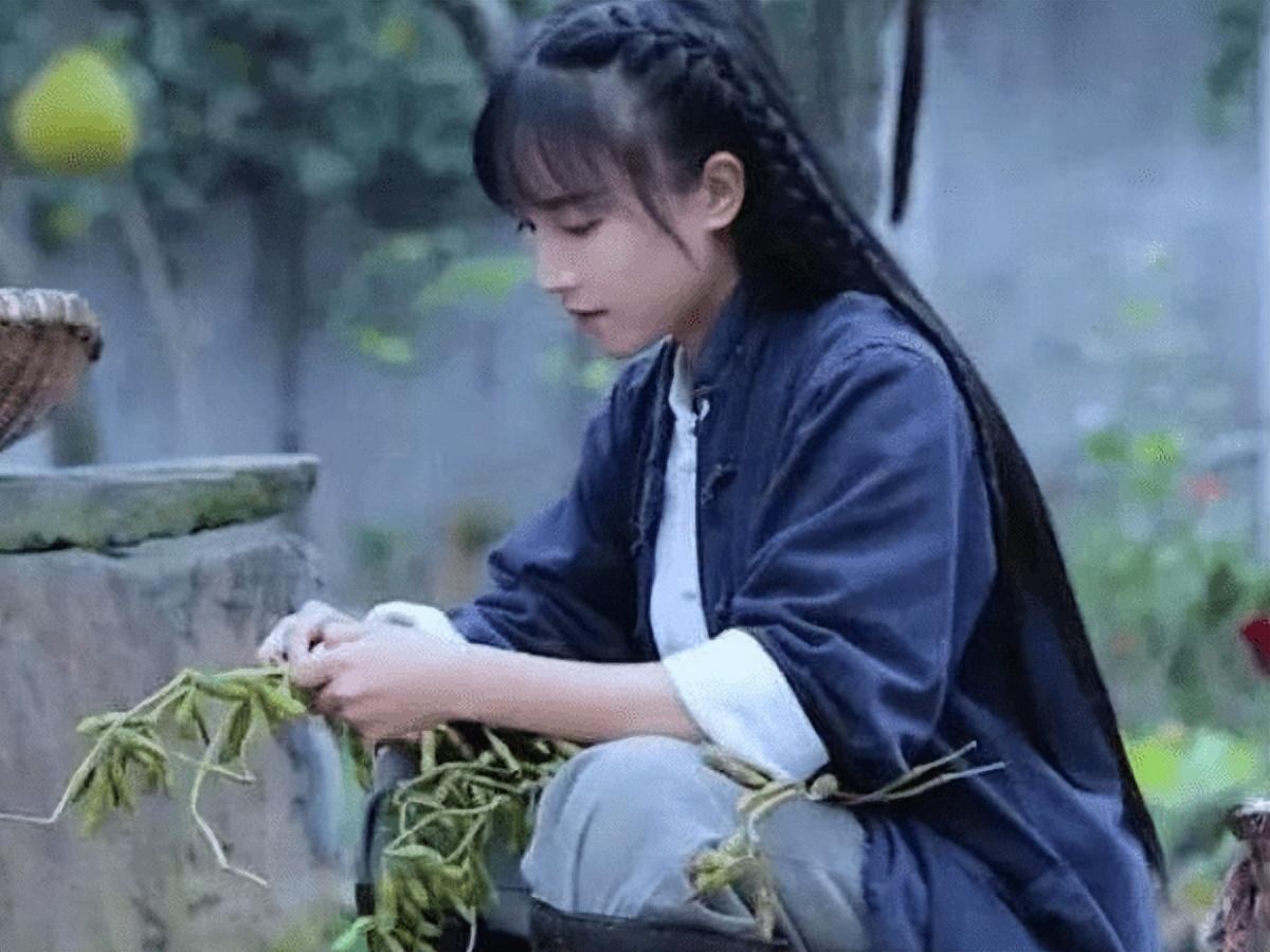 李子柒事件是怎么回事？火到国外的李子柒怎么“消失”了 第27张