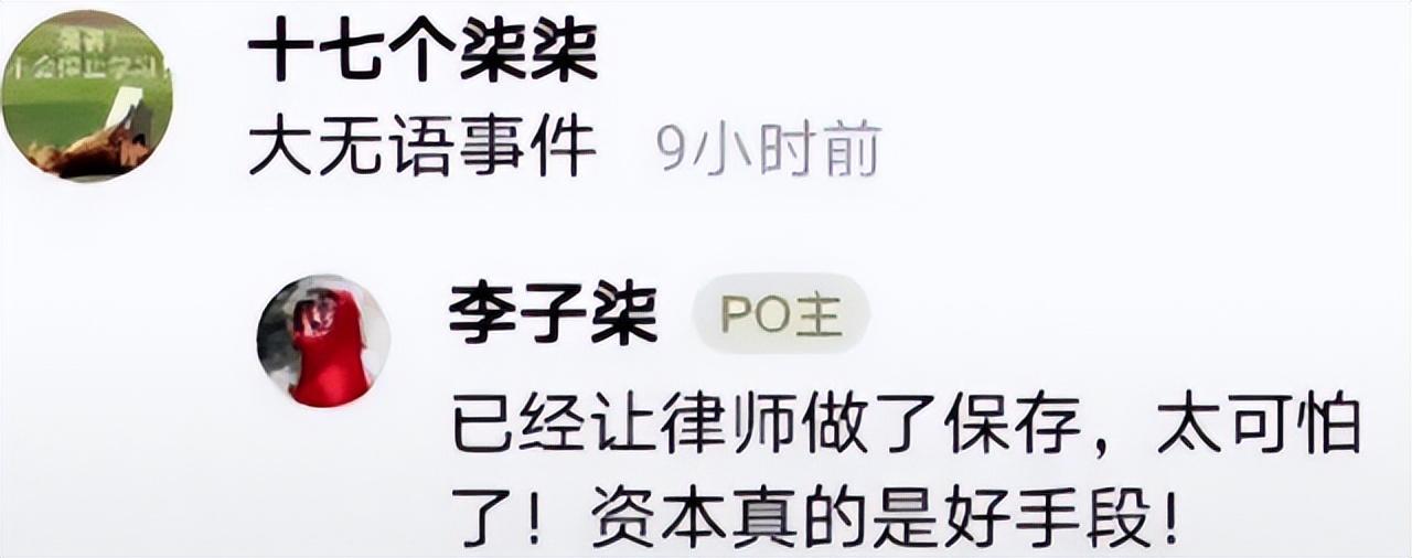 李子柒事件是怎么回事？火到国外的李子柒怎么“消失”了 第3张
