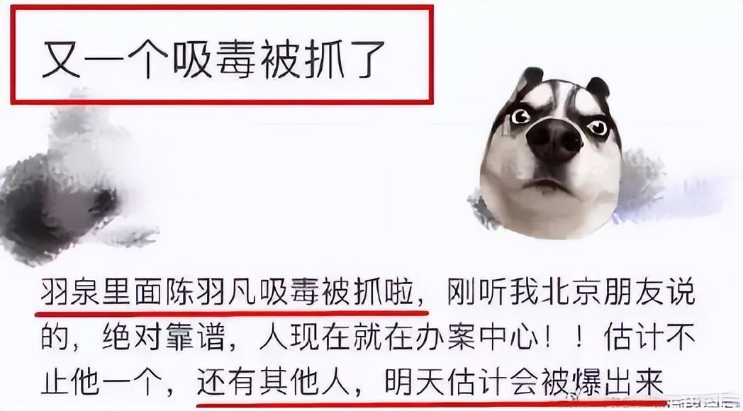 陈羽凡现在怎么样了？4年后再看胡海泉，两人差距也太大了 第61张