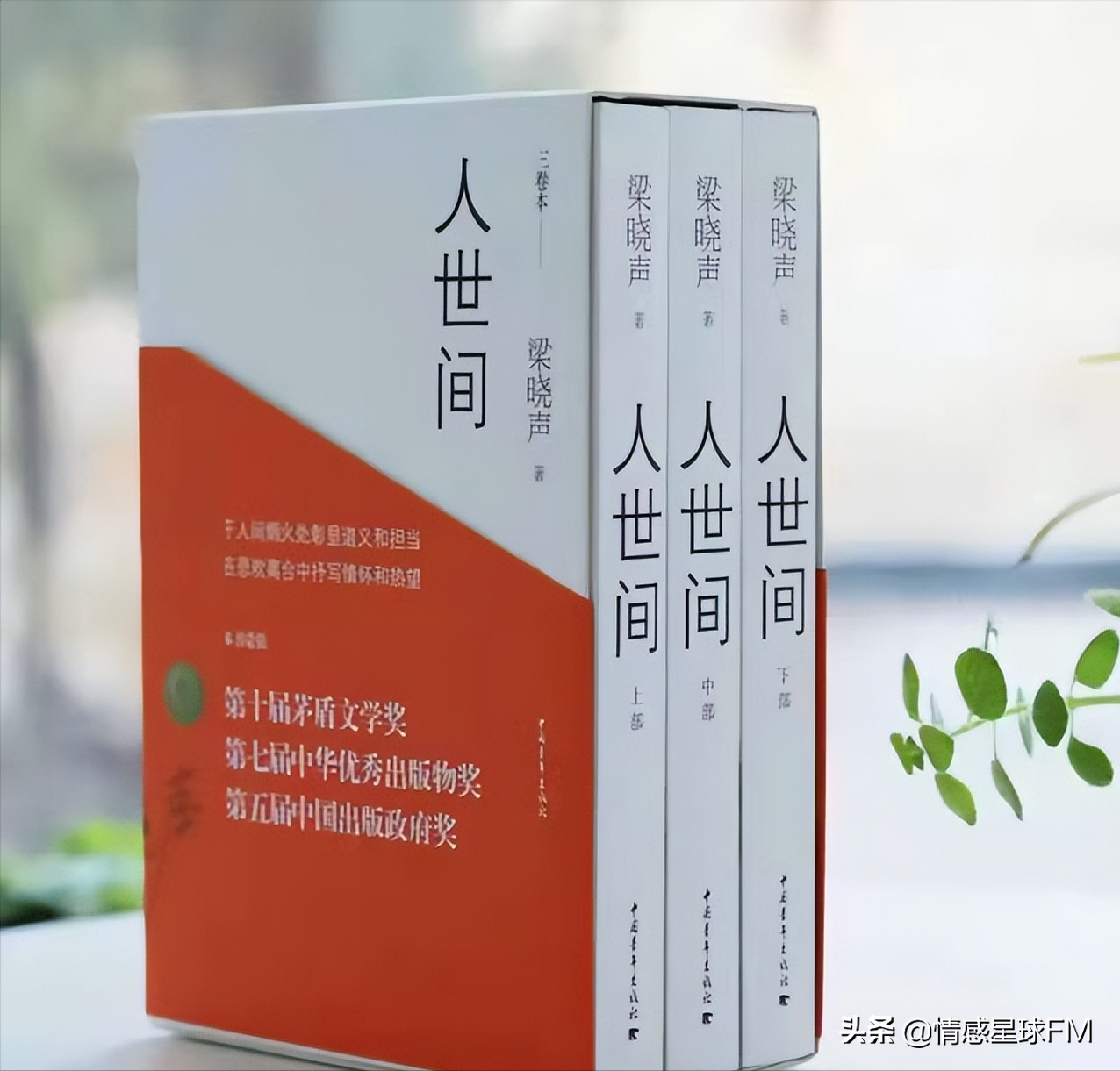 “人世间”周秉昆为什么坐12年牢？因骆士宾被周秉昆误杀 第15张