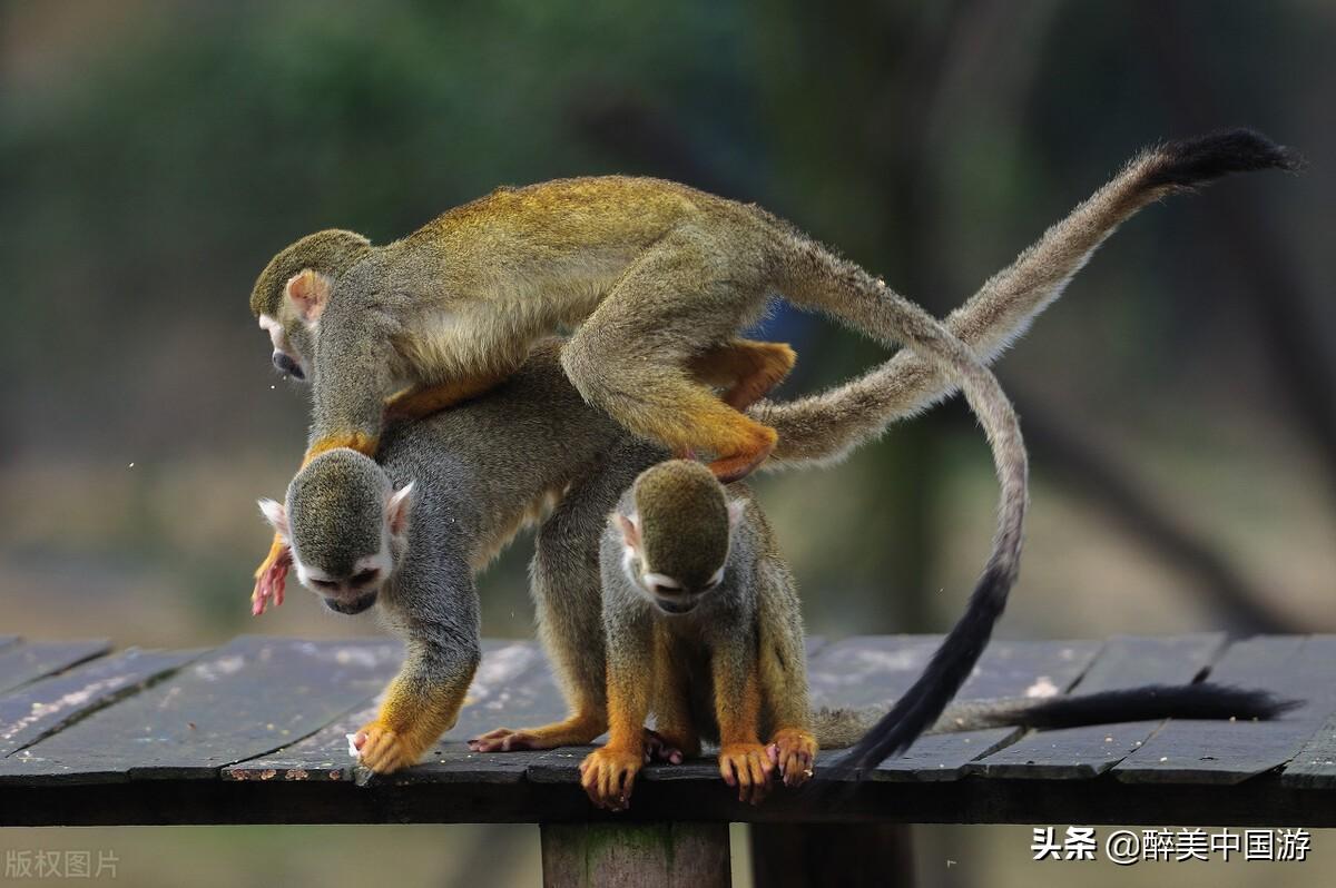 长沙有什么好玩的地方？本地人：这3处地方很适合打卡 第1张