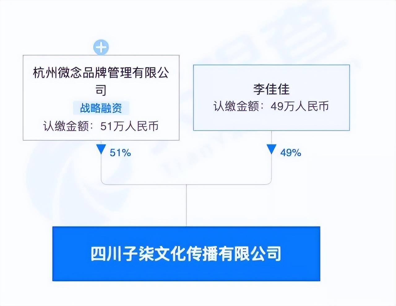李子柒事件是怎么回事？火到国外的李子柒怎么“消失”了 第23张