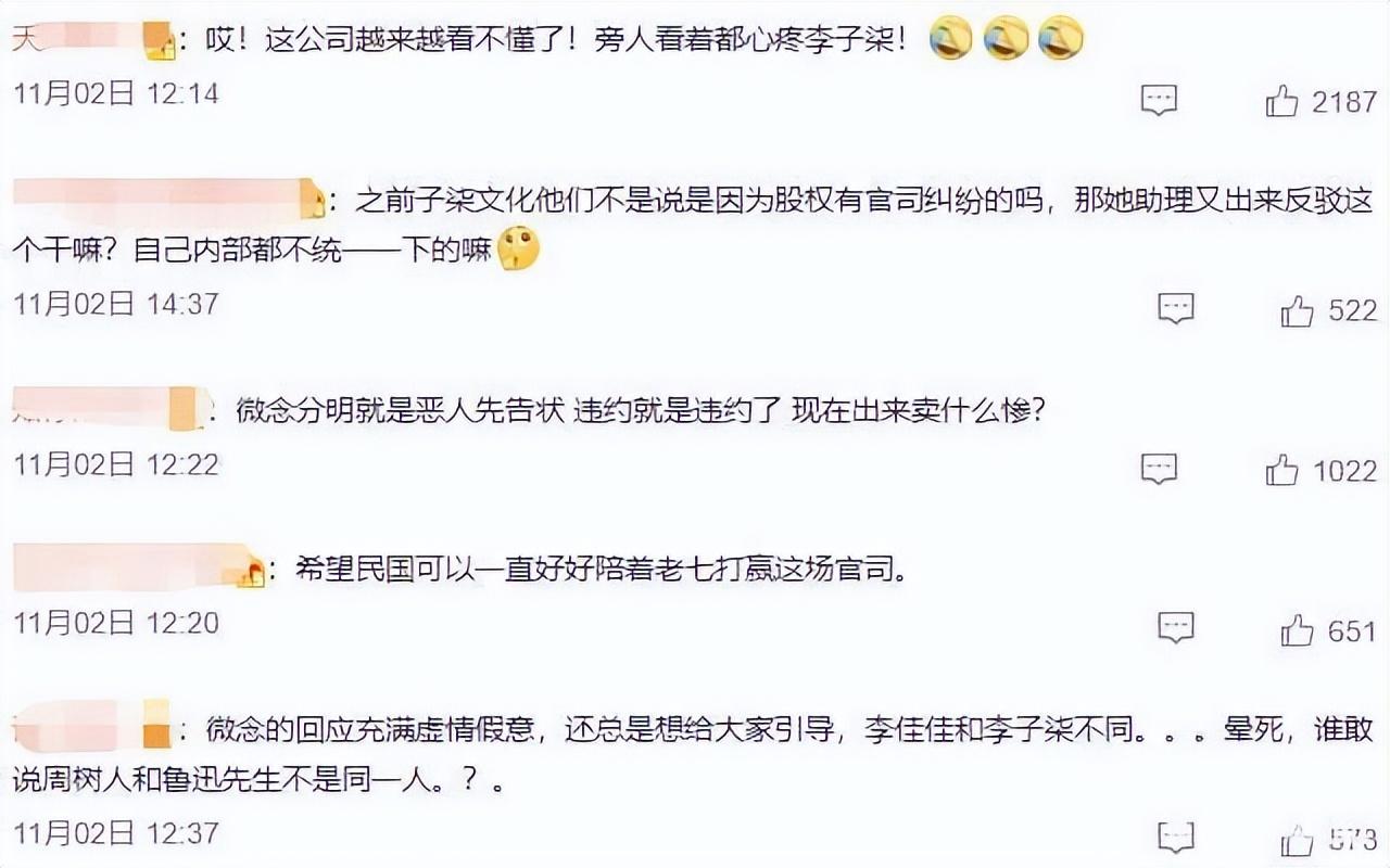 李子柒事件是怎么回事？火到国外的李子柒怎么“消失”了 第47张