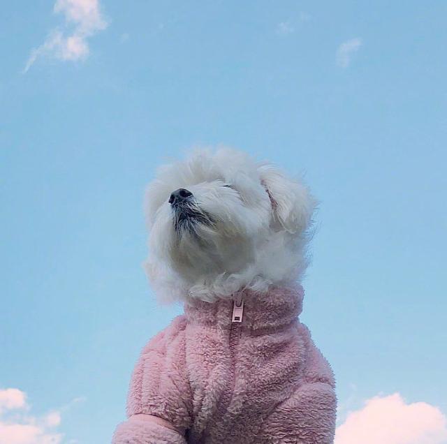 朋友圈最精辟的励志语录，句句阳光正能量 第3张