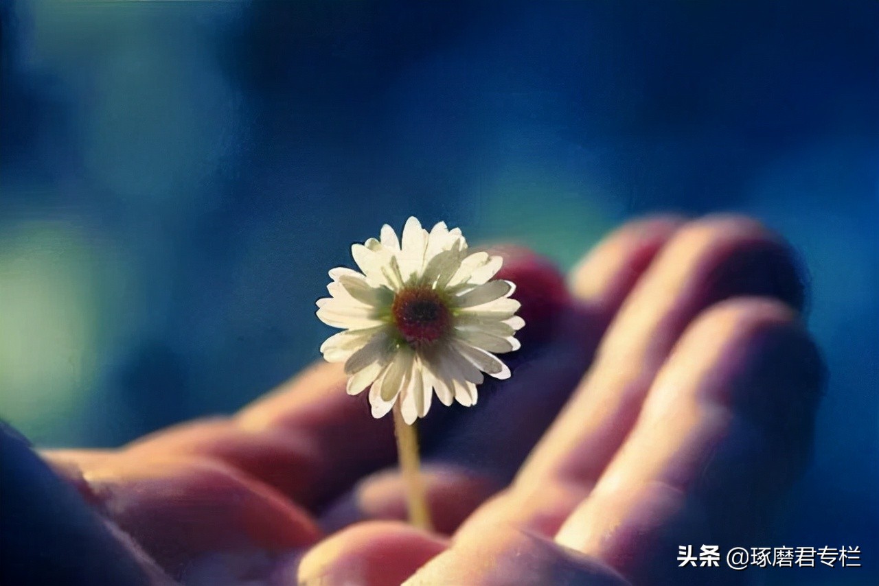 《道德经》中的3条天道，颠覆我们的认知，让人豁然开朗 第11张