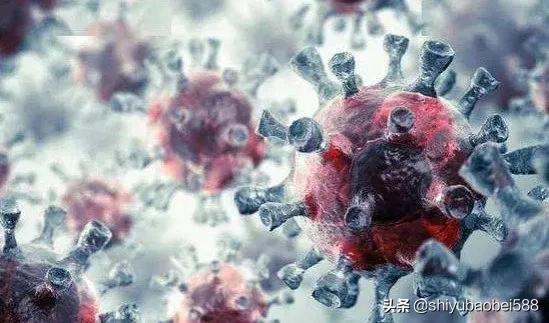 2022预言太吓人，火山爆发恒星相撞人类被毁灭(谣言不可信) 第3张